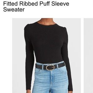 Express Puff Sleeve Sweater